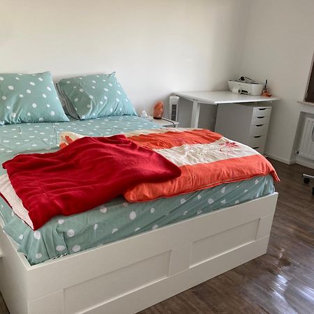 Nice Cozy Appartment Remich Dış mekan fotoğraf